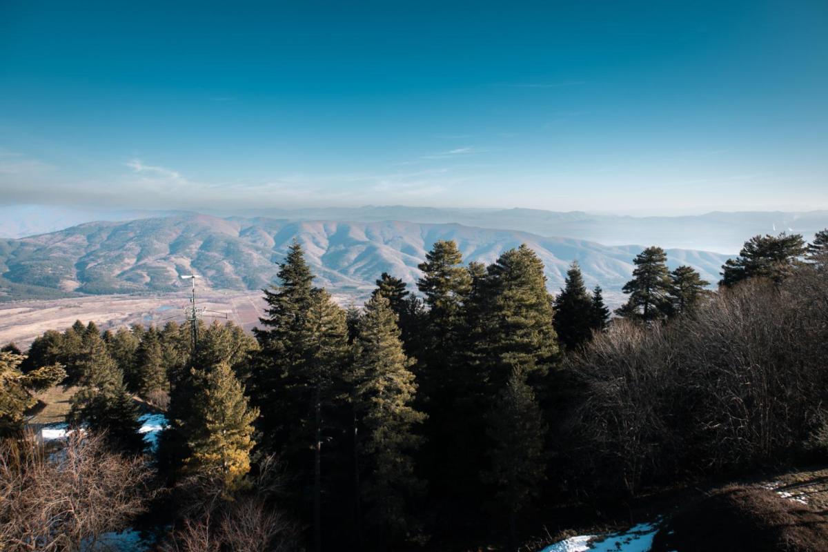 Suitetrails - Hotel Molika