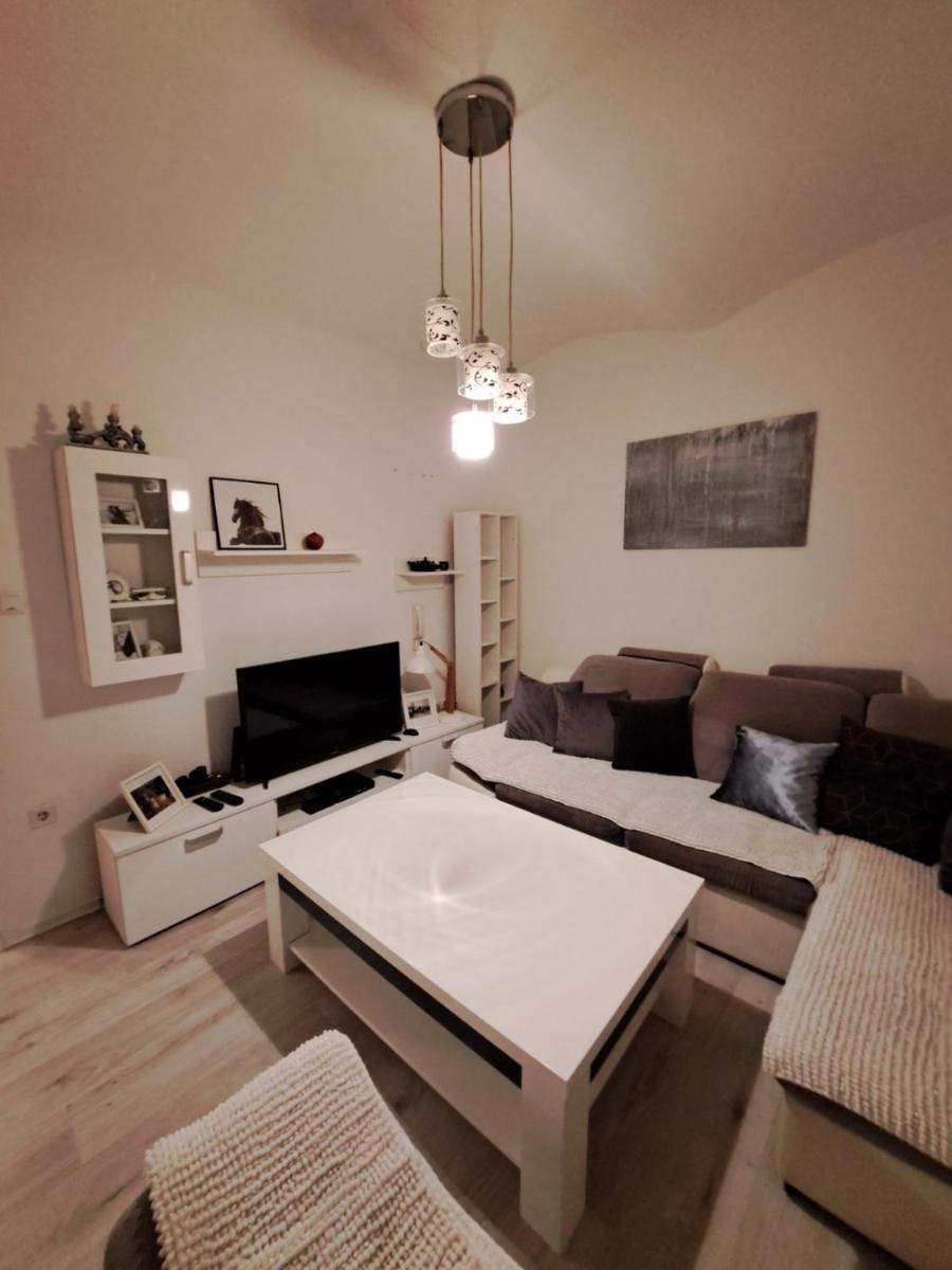 Apartment Skenderija Pet friendly with garden - Housity