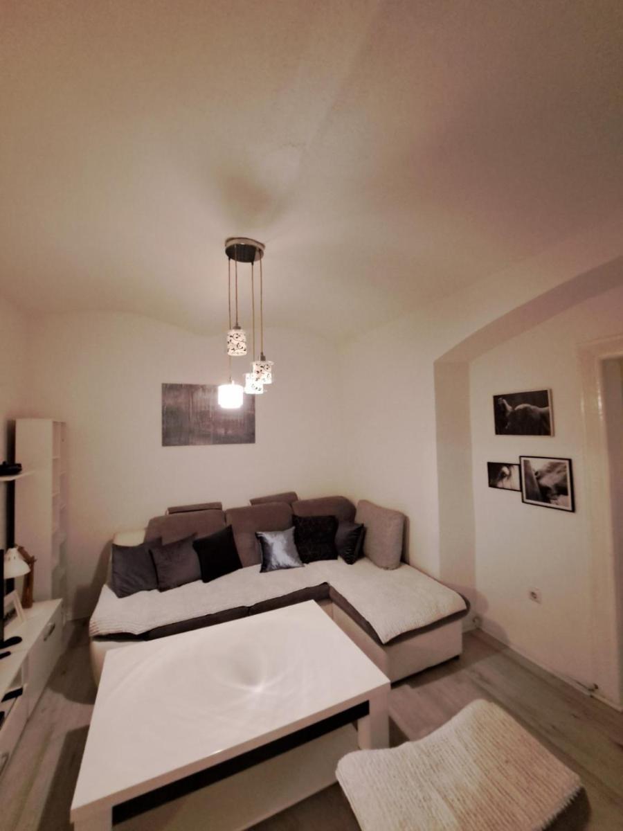 Apartment Skenderija Pet friendly with garden - Housity