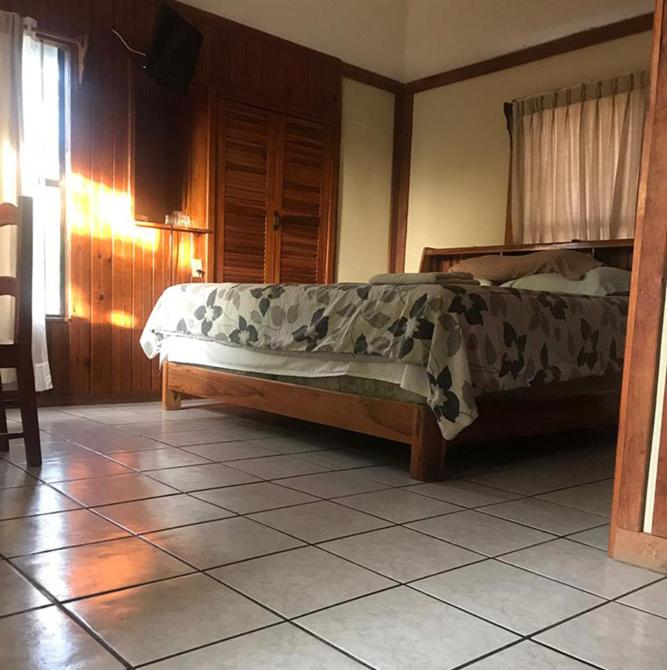 Coconut Tree West End - Housity