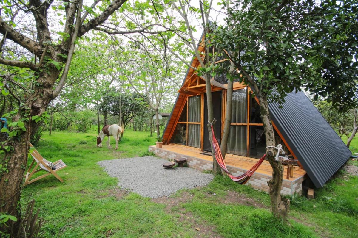Cottage in Batumi - Housity