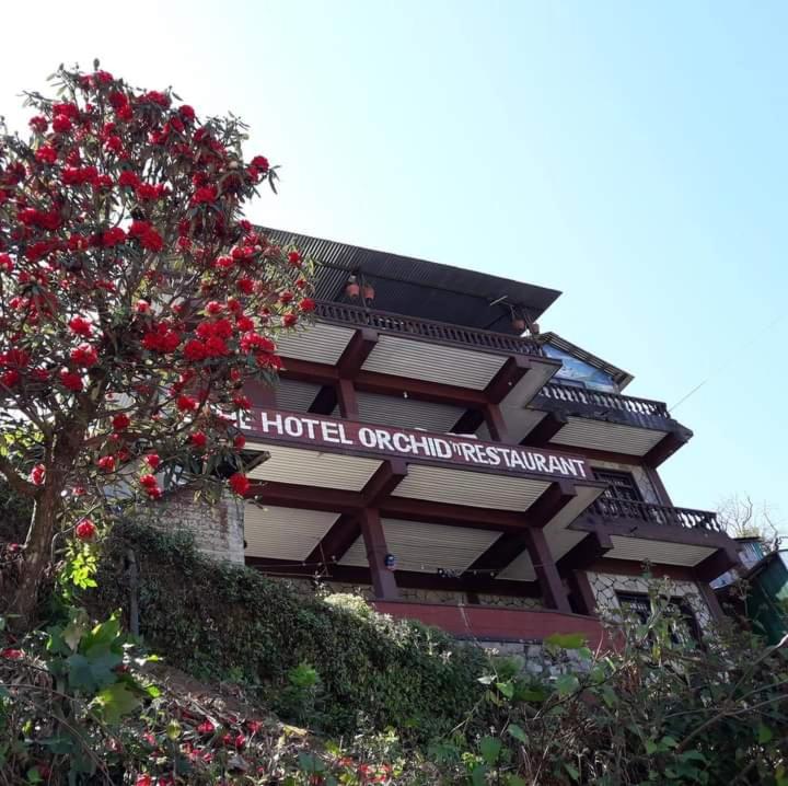 The Hotel Orchid & Restaurant - Housity
