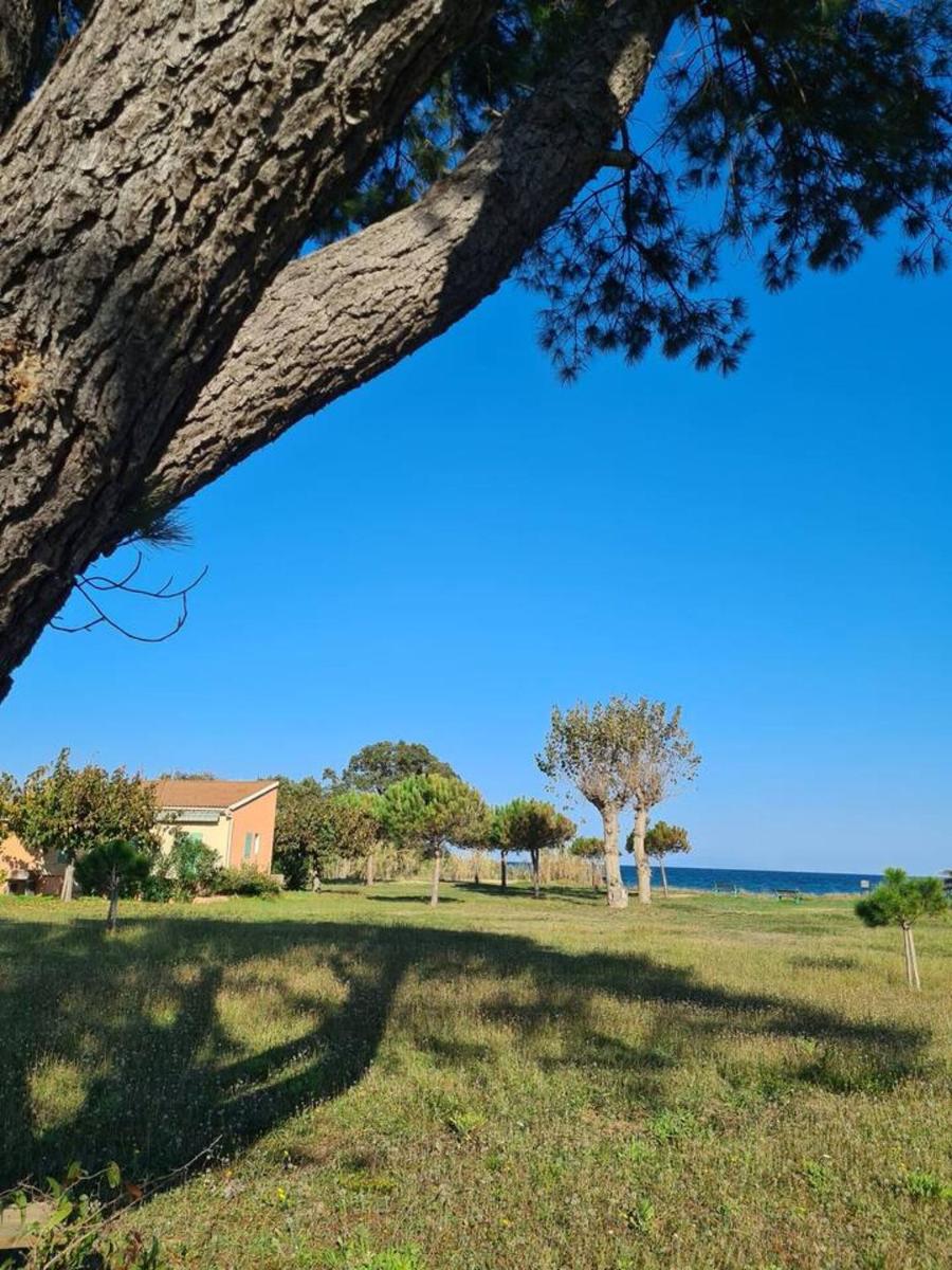 Maison de 3 chambres a Poggio Mezzana a 100 m de la plage avec terrasse et wifi - Housity