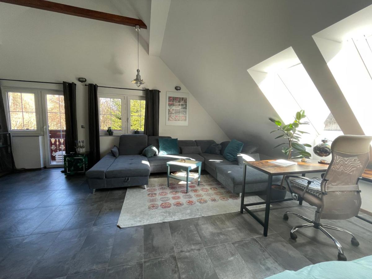 NiceHead spacious nest between Maribor and Celje - Housity