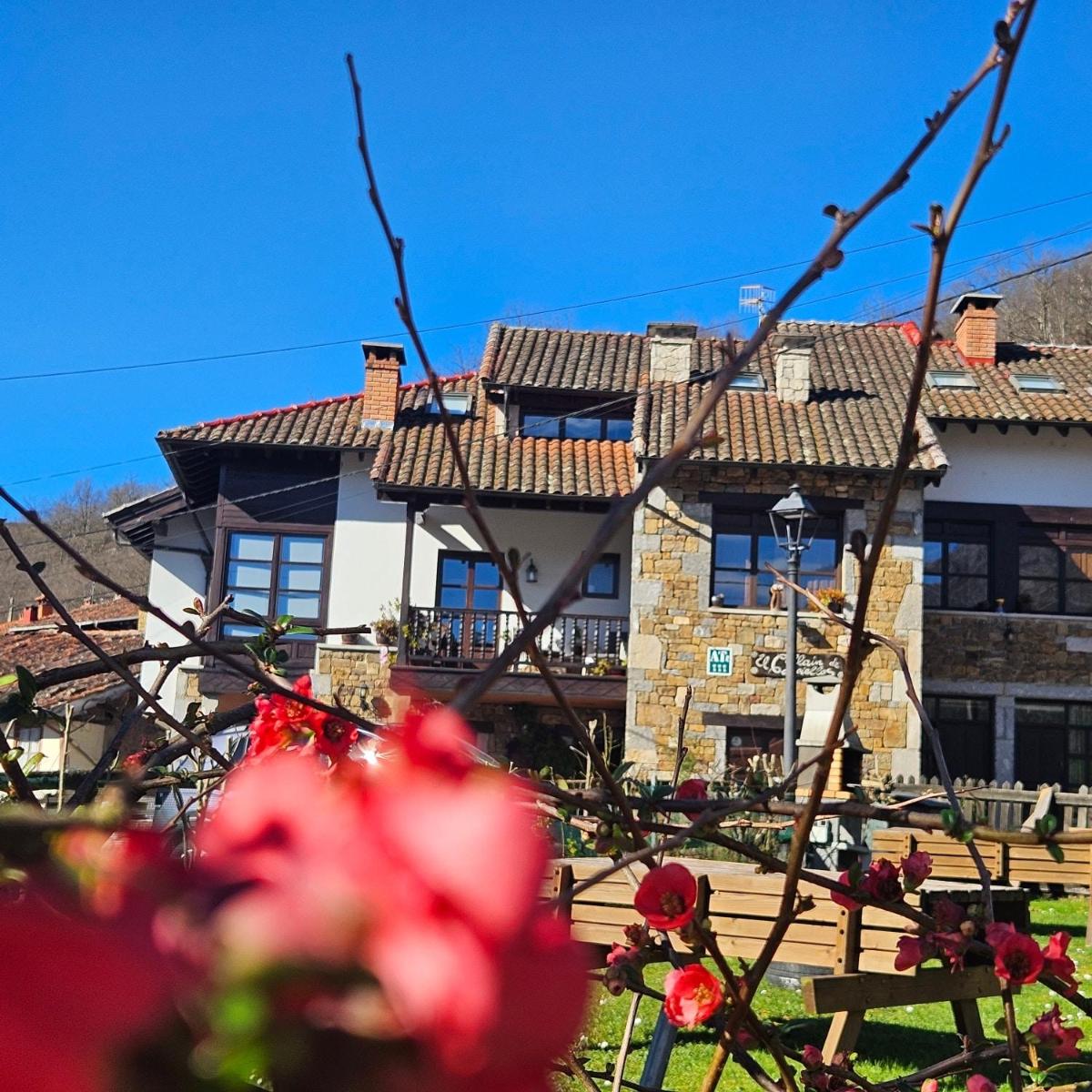 Apartamentos Rurales El Collaín de Campiellos - Housity