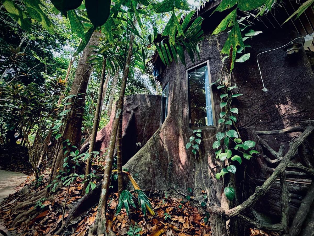 Khao Sok Paradise Resort - Housity