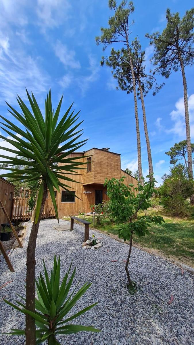 Um jardim no exterior de Bukubaki Eco Surf