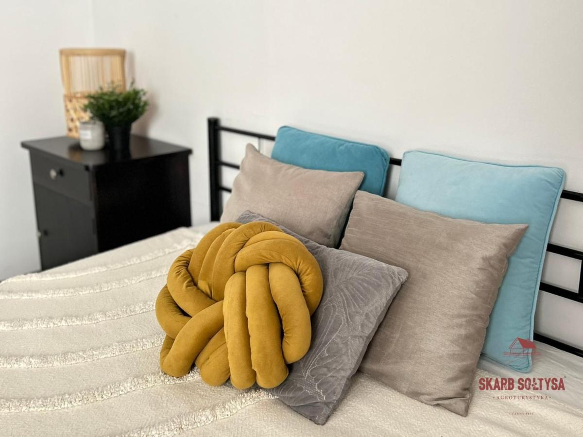 Skarb Soltysa - Housity