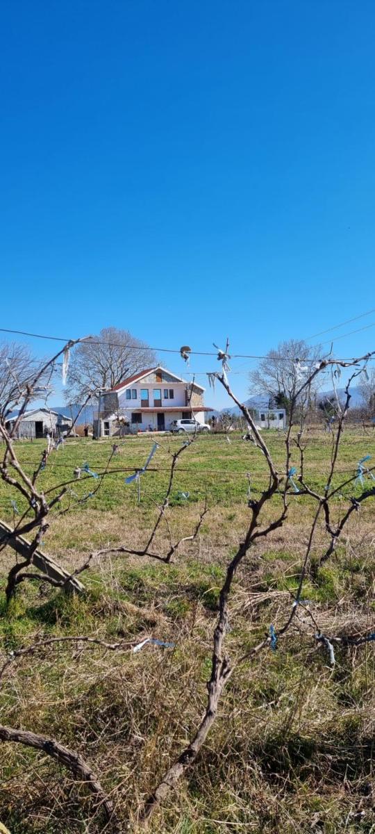 Guesthouse Gjegji - Housity