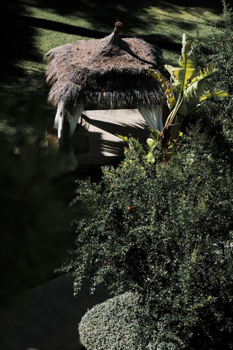 Animales en el apartahotel o alrededores