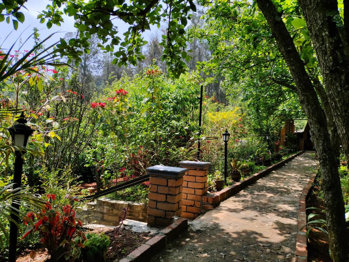 Suitetrails - Silver Spruce Glass Villa 1BHK Kotagiri