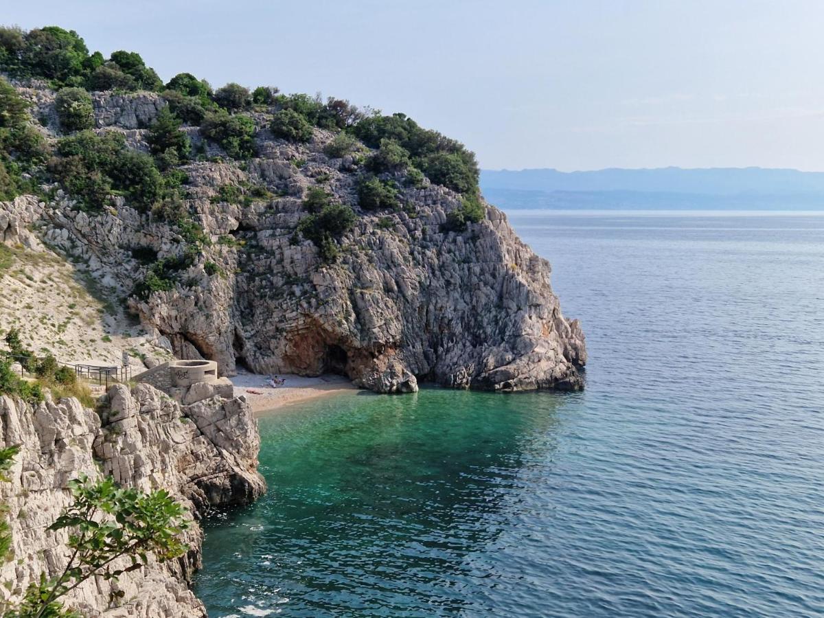 Guesthouse Villa Galovic - Housity