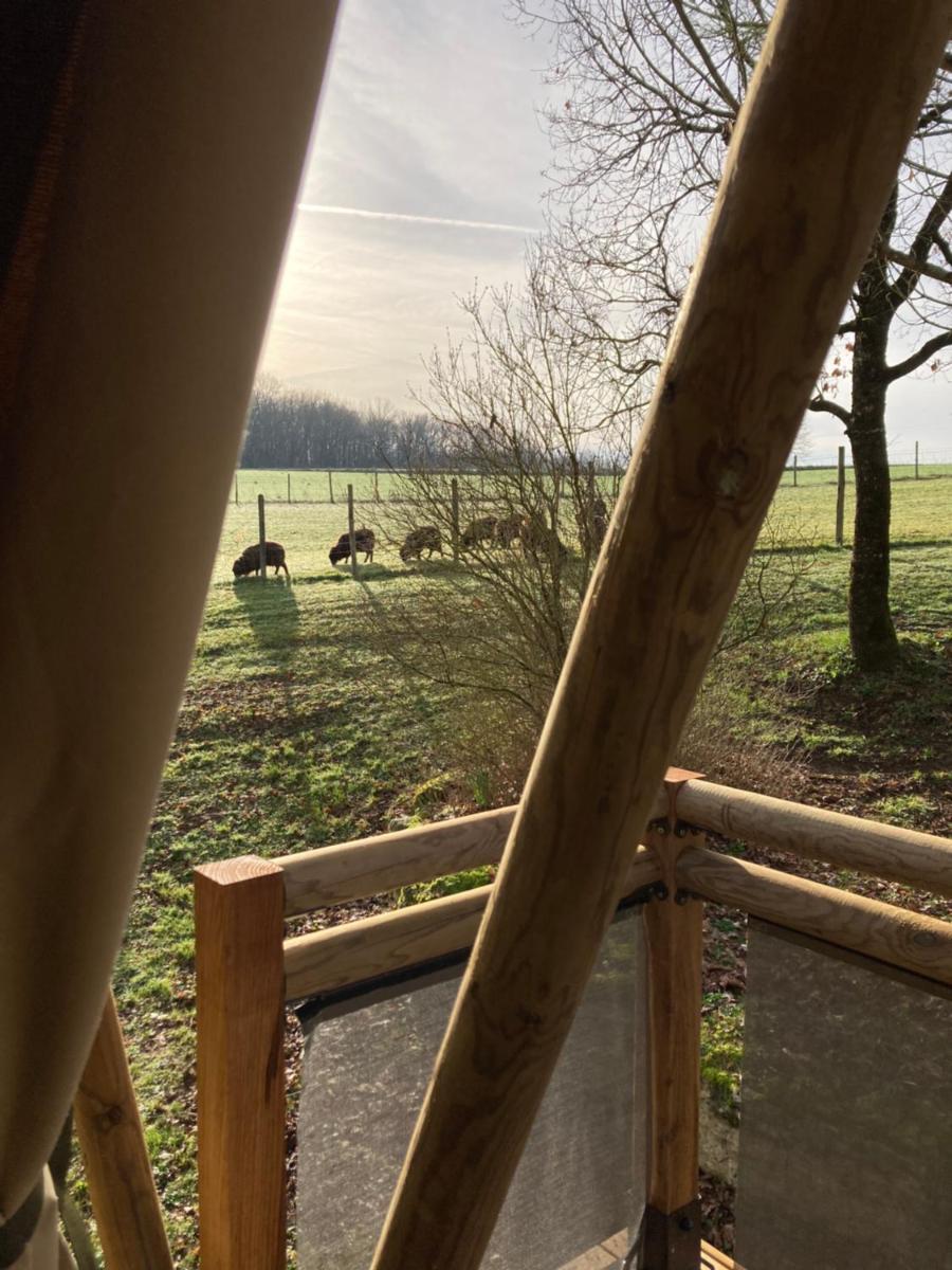 Lodge atypique - Housity