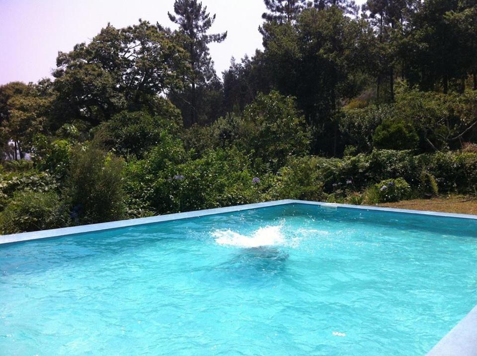 Eira das Carvalhas - Housity