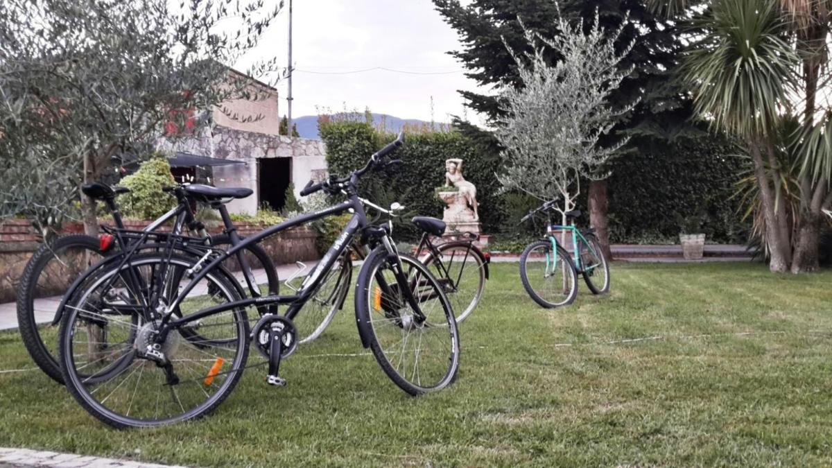 Hotel Rosso Di Sera - Housity