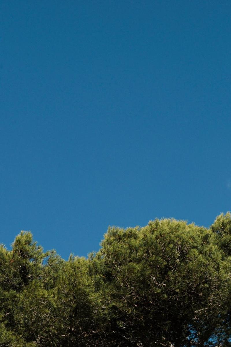 Imagen de la galería de Prinsotel La Pineda, en Cala Ratjada