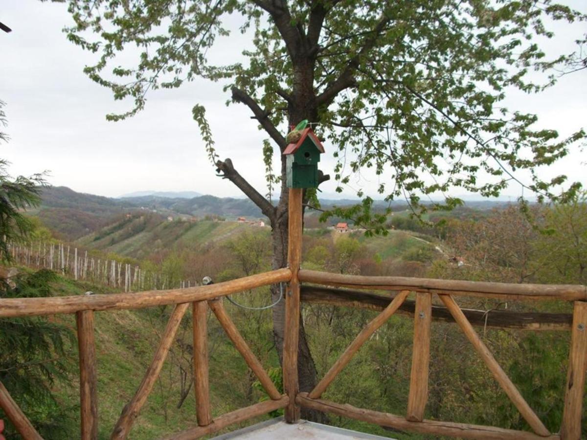 Kuća sa apartmanima Šemnica - za odmor i proslave! - Housity