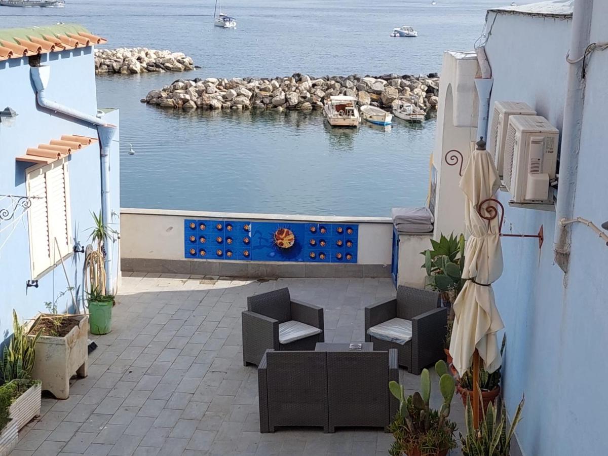 MonoBlue - Housity
