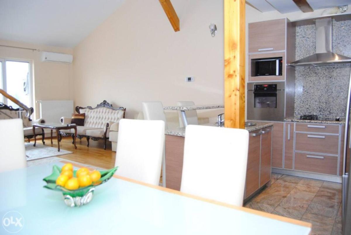 Spacious modern house in Sarajevo with parking. - Housity
