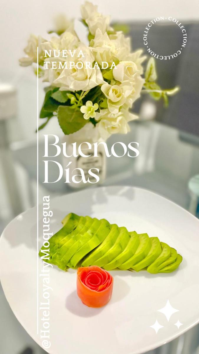 Hotel Loyalty Moquegua - Housity