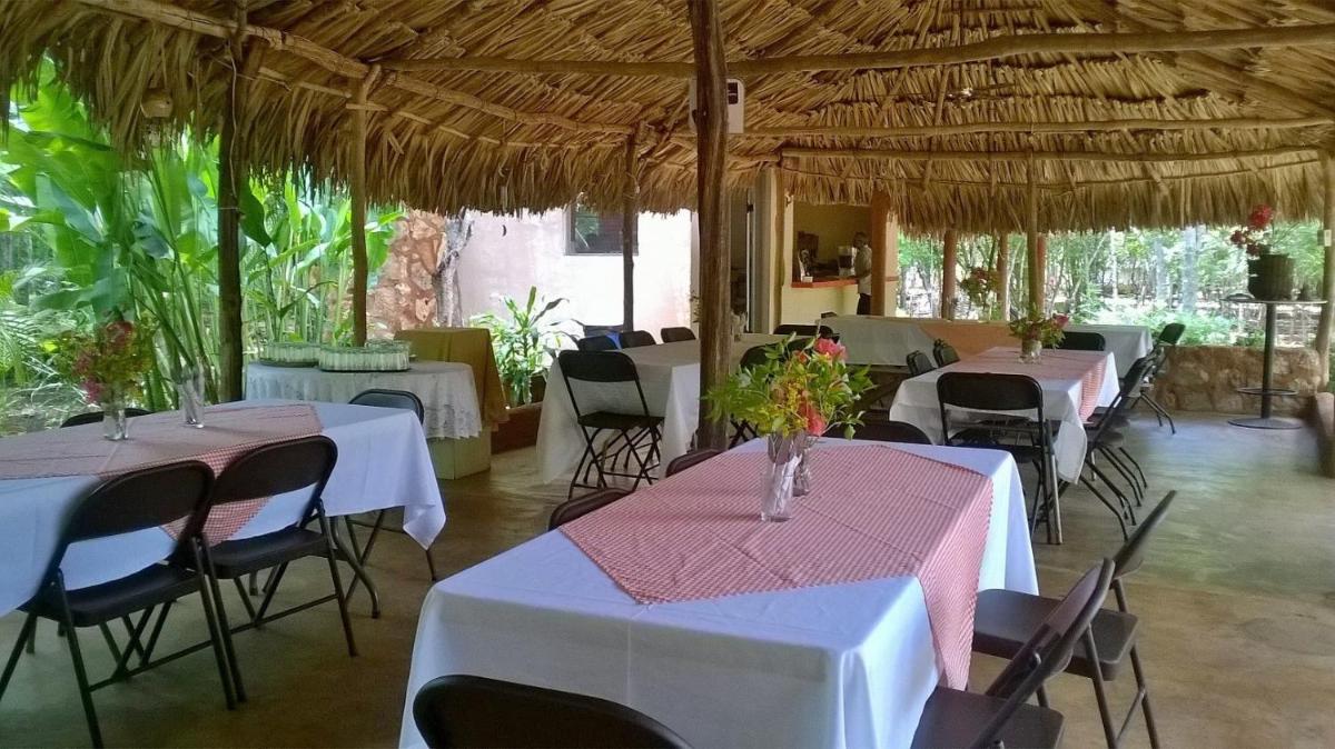 Eco-Hotel Nueva Altia - Housity