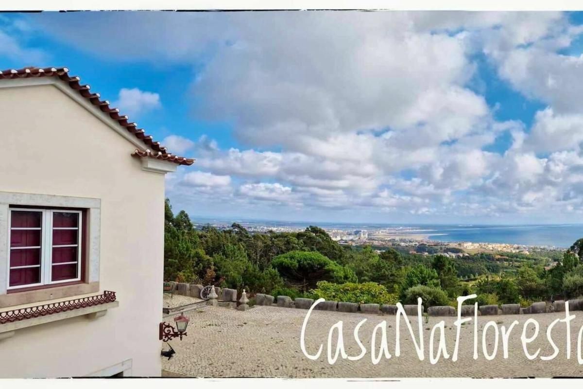 Charming House Figueira da Foz Year Round Shared Pool - Housity