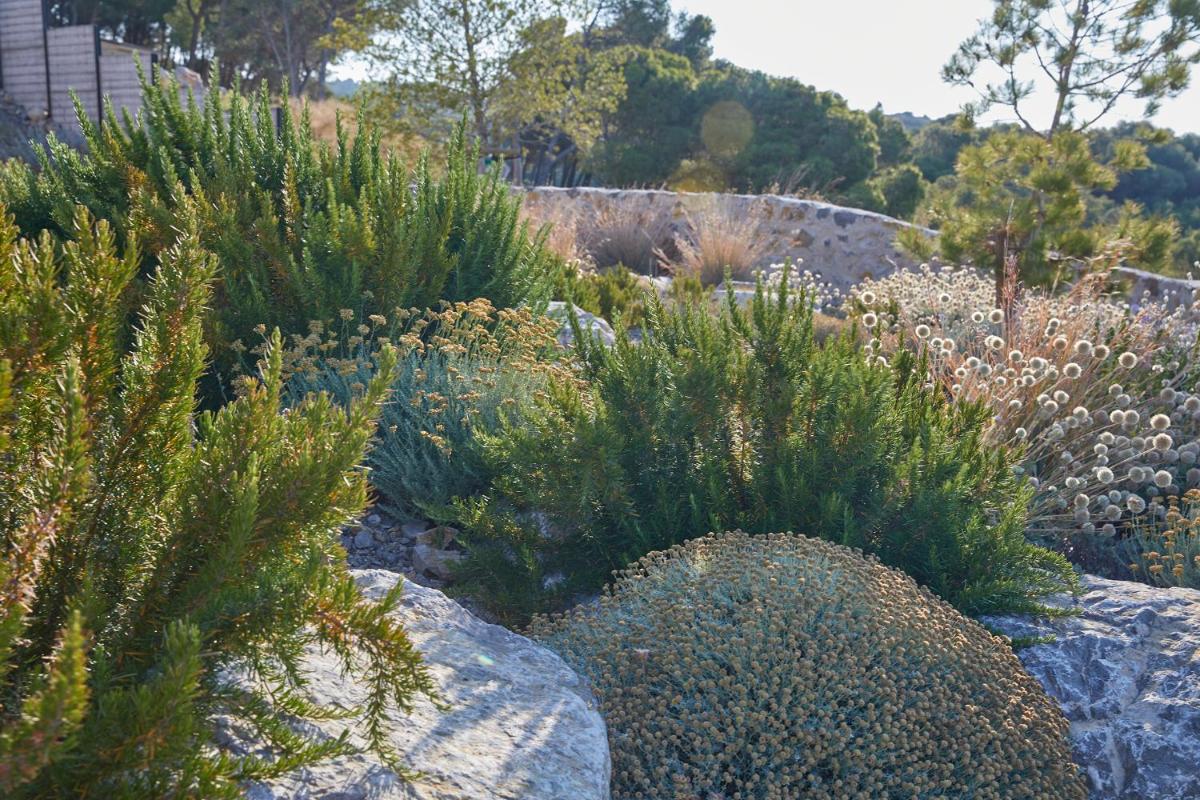 Jardin de l'établissement Château Capitoul