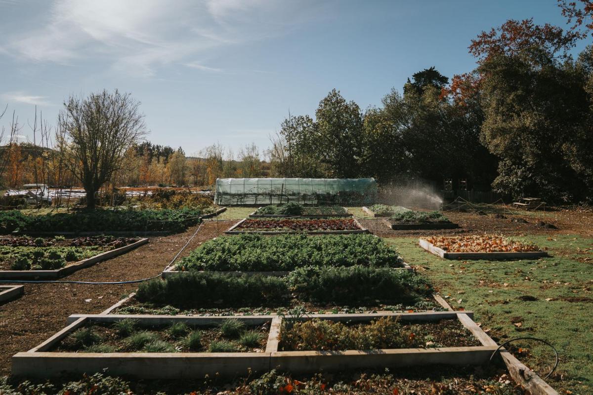 Jardin de l'établissement Château St Pierre de Serjac