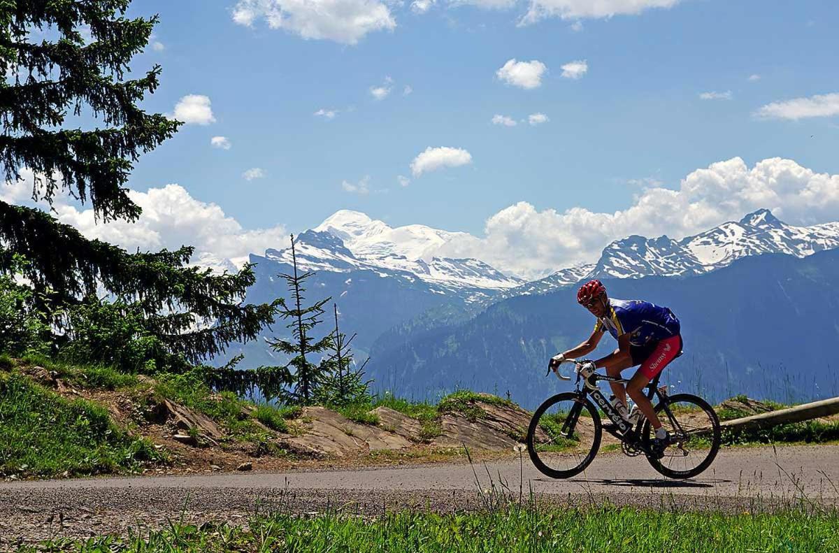 Vélo sur le terrain de l'établissement Logis Hotel Gai Soleil ou dans les environs