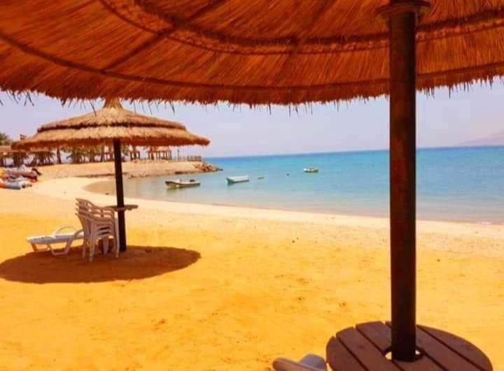 Private Chalets in Blumar El Dome - Ain Sokhna - Housity
