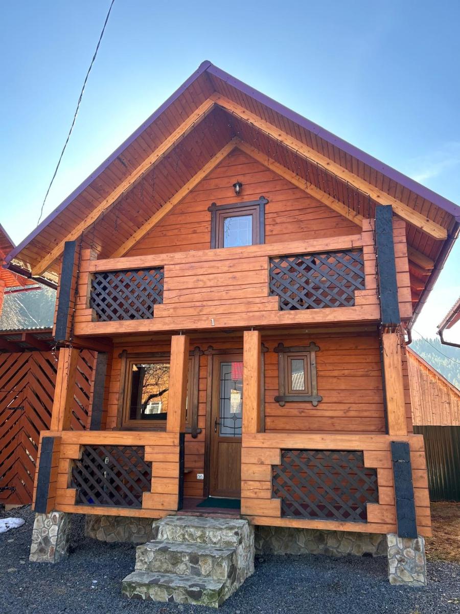 Орхідея Luxe - Housity