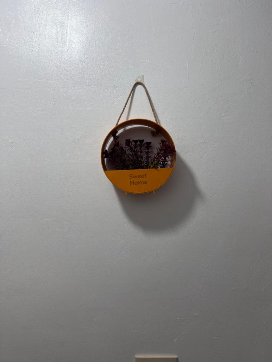 Giza pyramids view homestay - Housity