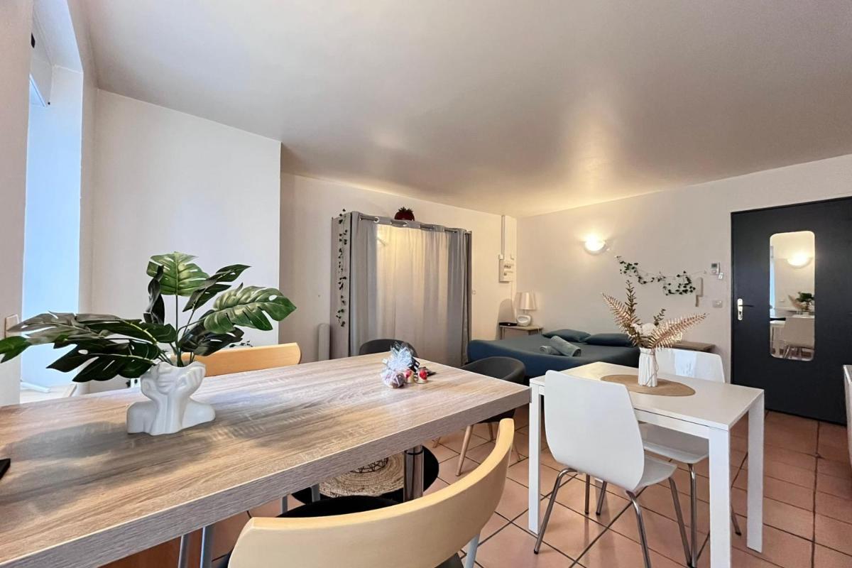 Le studio Théolier DOWNTOWN - close to pedestrian street - Housity