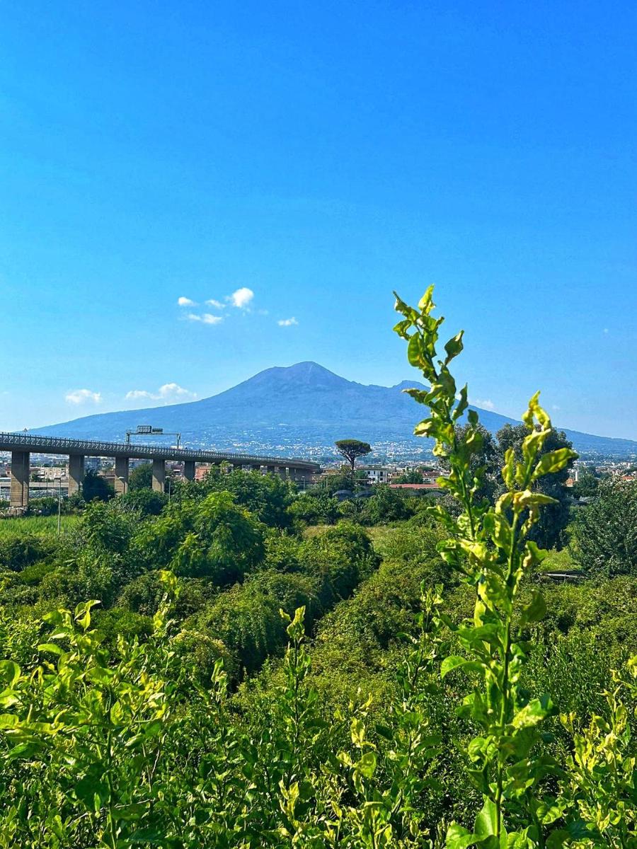 La Penisola - Housity