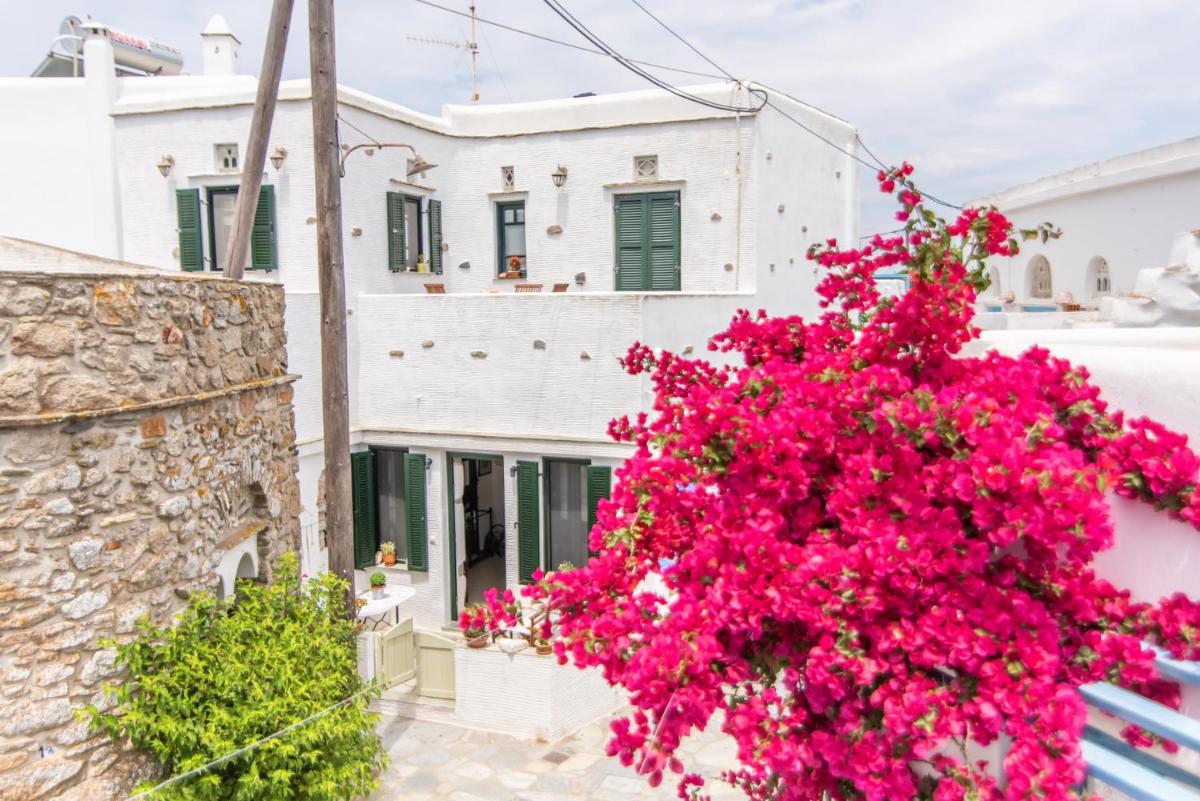 ''Cactaki'' Studio - Housity