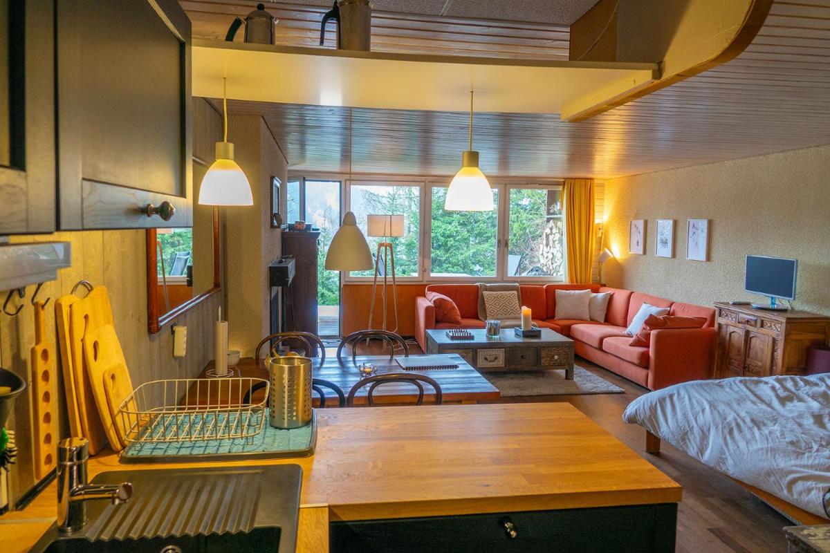 Cosy studio on the ski slopes - Housity