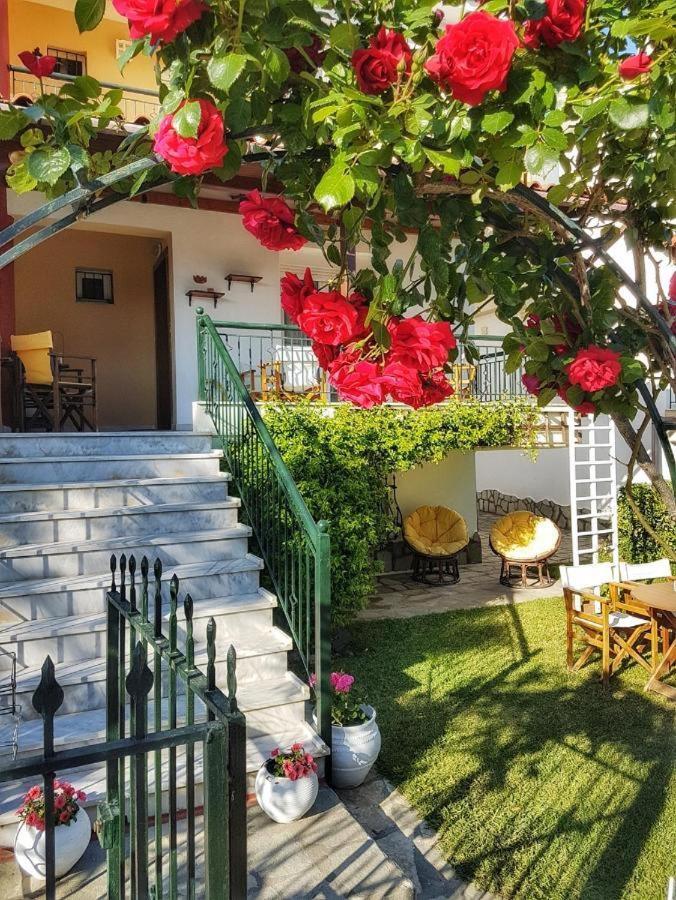 Perfect Hospitality - Elenas House, Nikiti - Housity