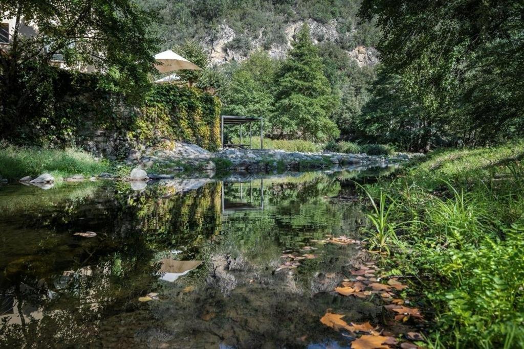 Paisaje cerca de este hotel