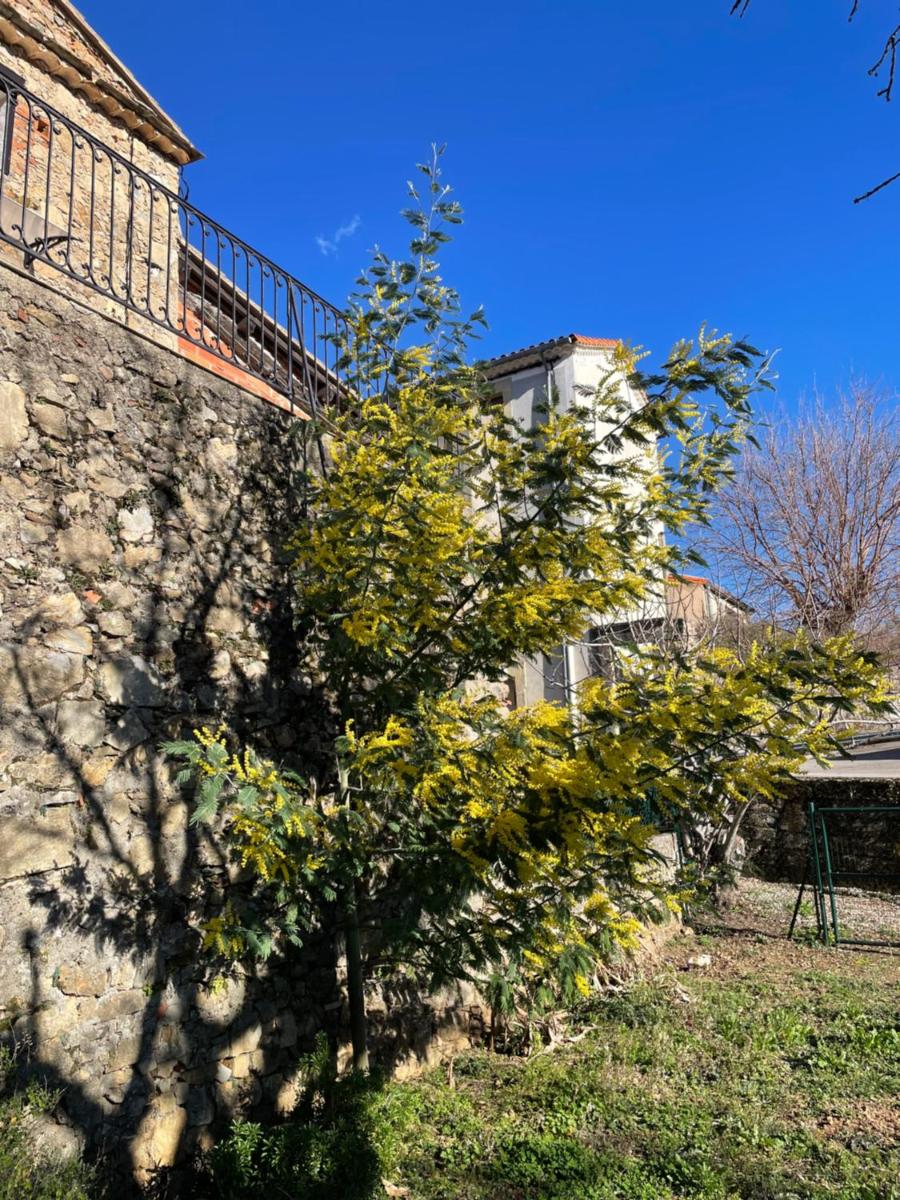 L’aire vieille - Housity