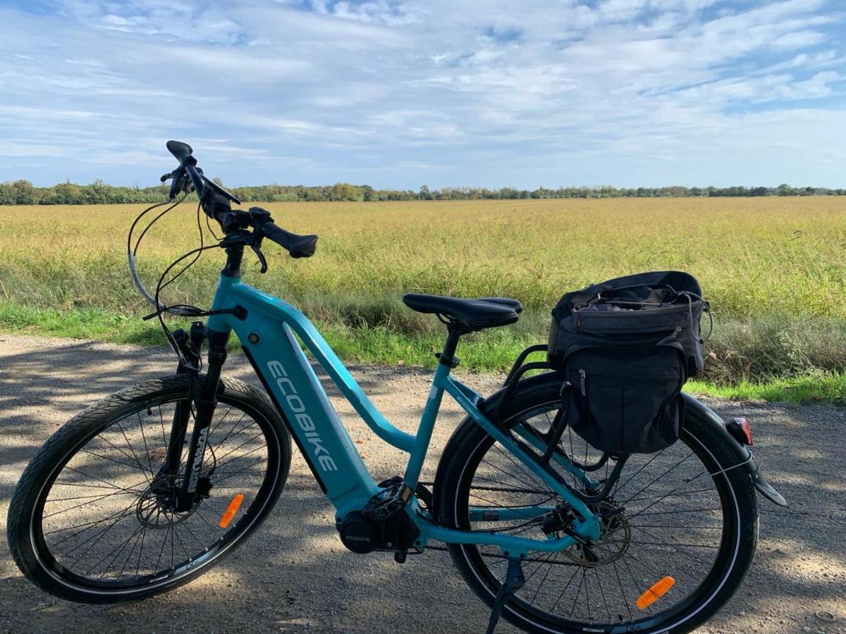 Montar en bicicleta en Hotel Spa La Central - Adults Only o alrededores