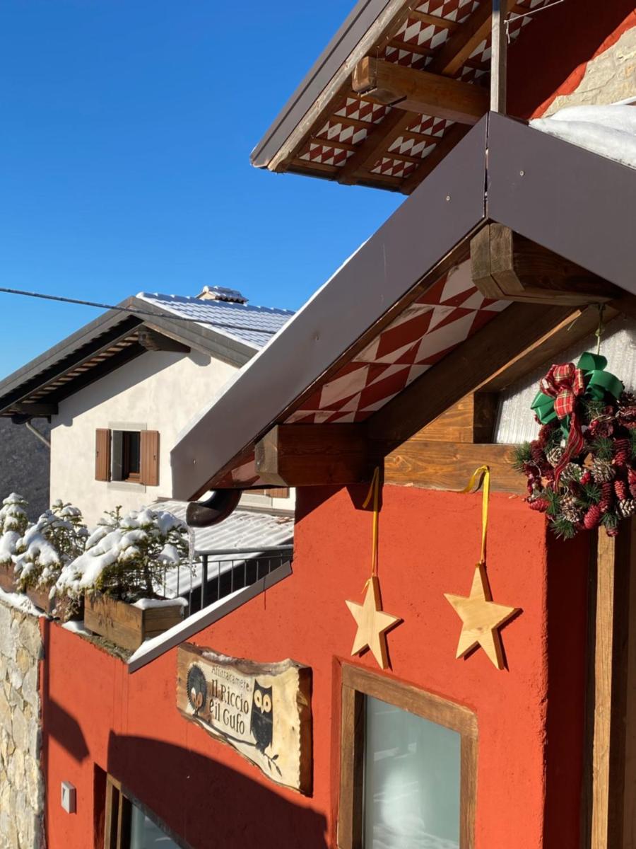 Il Riccio E Il Gufo - Housity