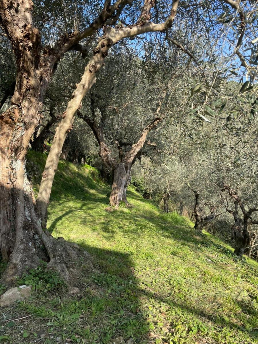 Villino Glicine - Housity