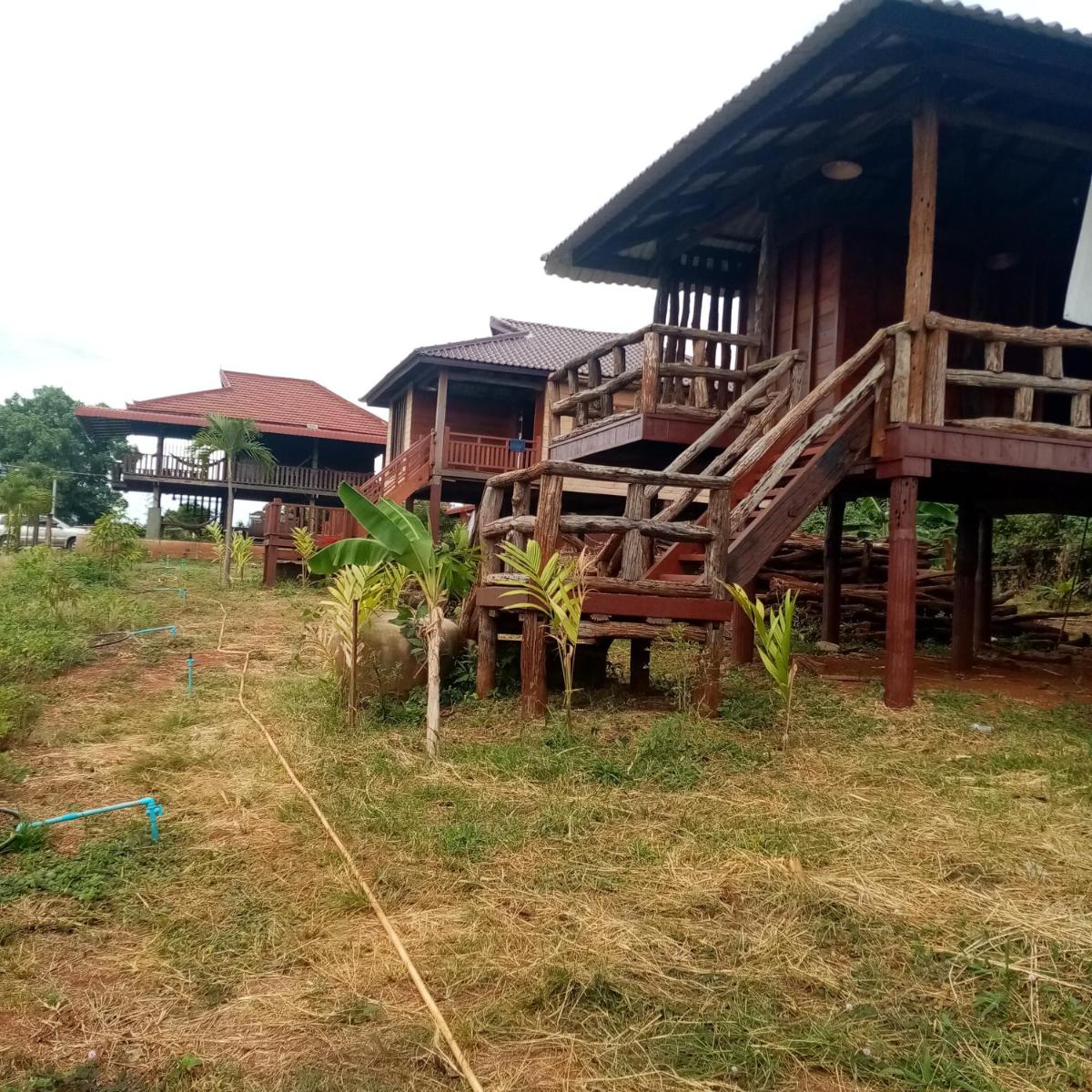 Suitetrails - Quiet Garden View Lodge&Trekking