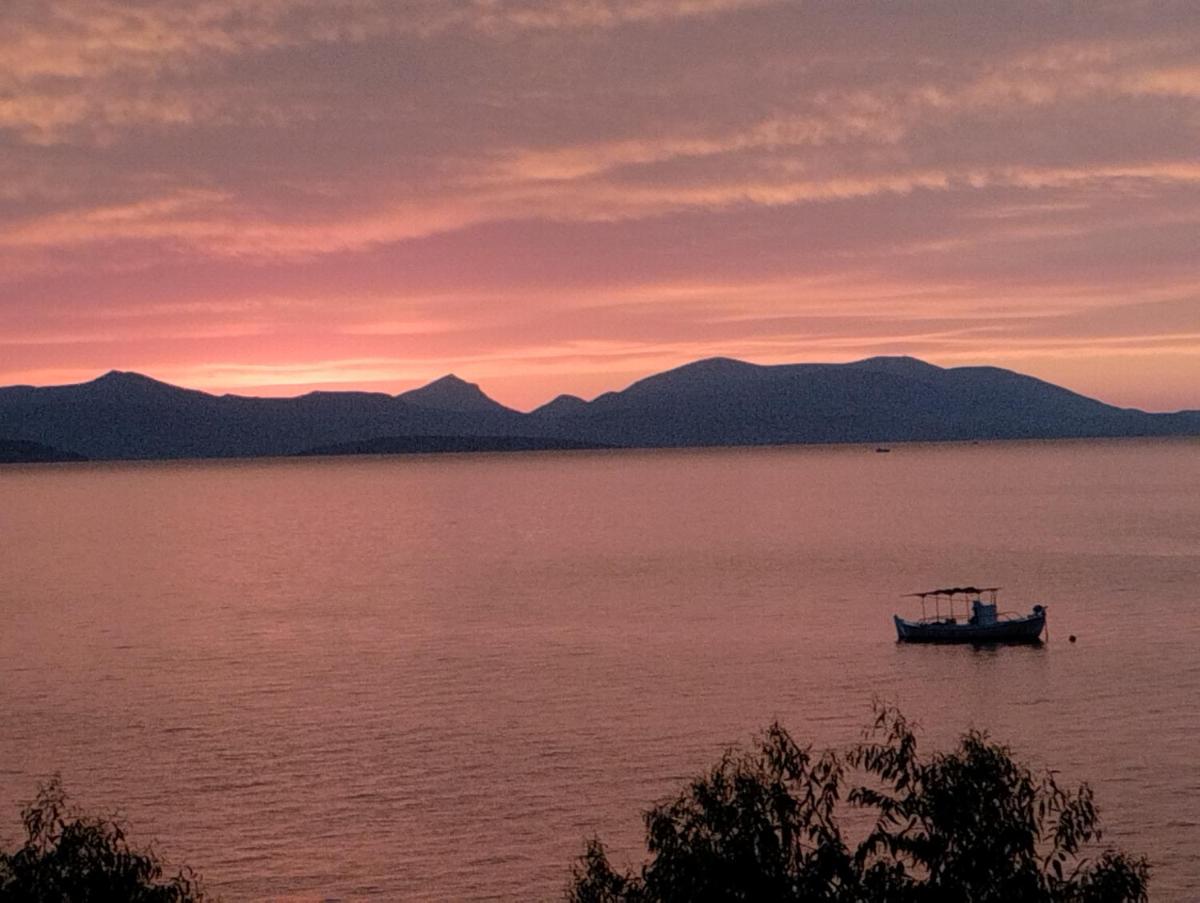 Evita Studios - Housity