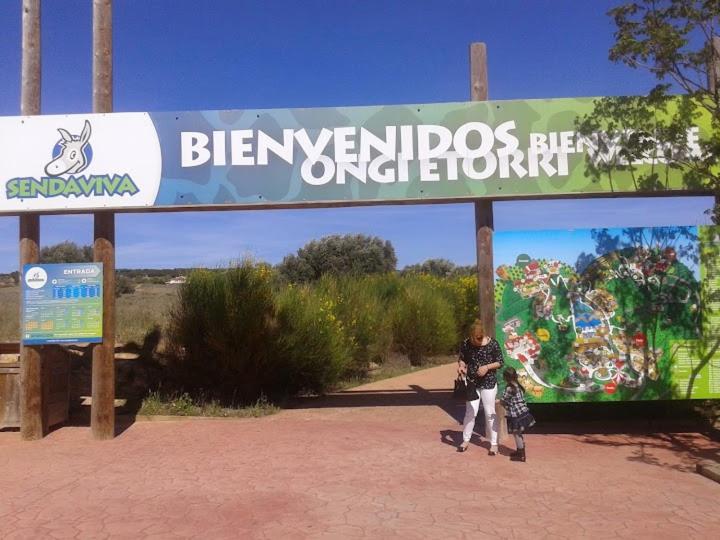 Ático Entero con Habitación en Corella - Housity