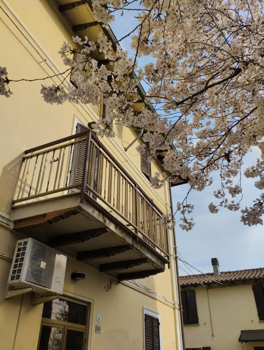 B&B LA QUERCIA DI MERY - Housity