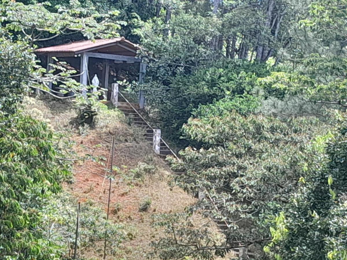 Cabañita Doña Tina - Housity