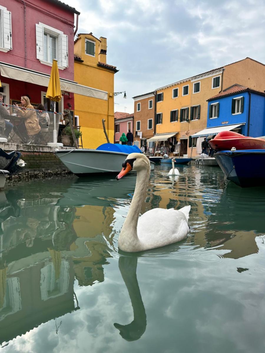 Burano Experience: Casa tipica - Housity