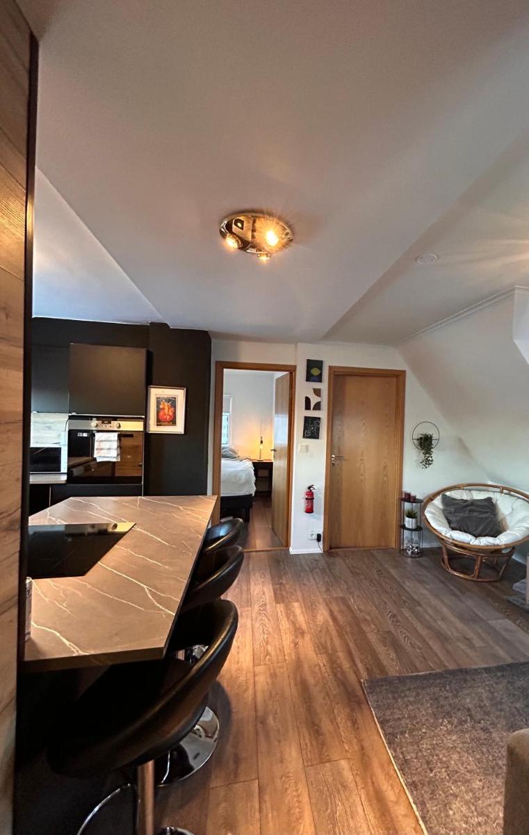 1 bedroom apartment - Housity