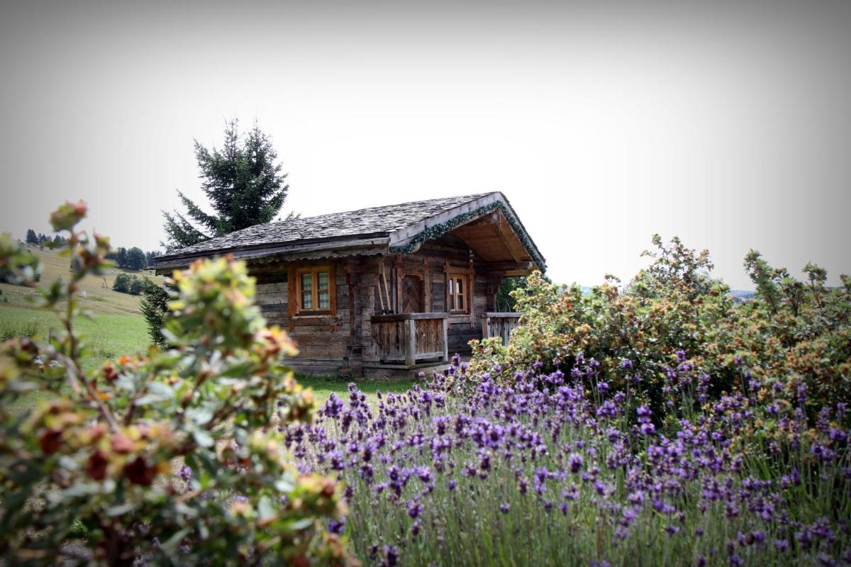 une cabane en rondins au milieu d'un champ de fleurs dans l'établissement Hôtel Le Manoir des Montagnes, aux Rousses